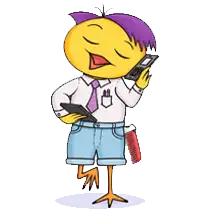 El Pollito Peinado