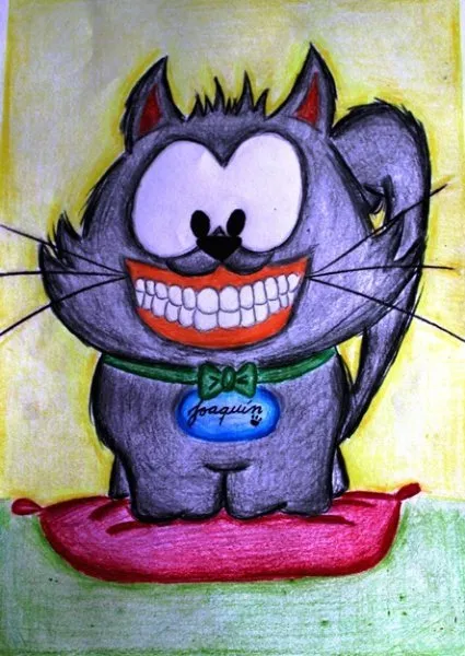 El Gatico Joaquín y su problema dental