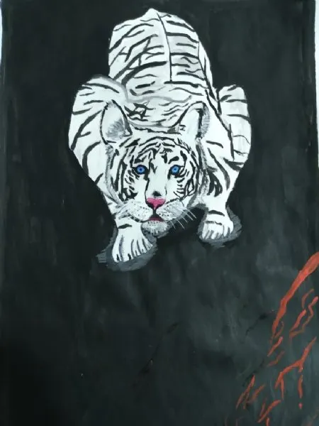 El tigre blanco