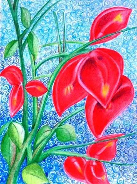 Flor del Ceibo