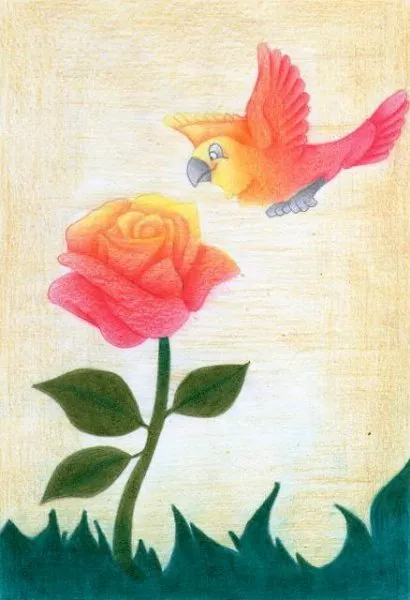 La rosa iluminada